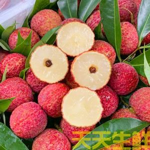 荔枝的品种有哪些？广州蔬菜配送公司科普(图3)